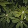 读者「青苔阶」的头像，青紫色石阶纹理的抽象图案